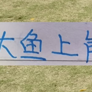 华体会-海港本土大鱼上岸了！新赛季前2轮转正不在话下吗？